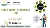 Pest Control Alexandra Hills image 1